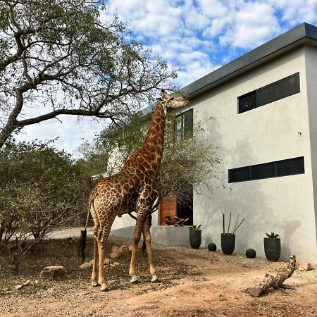 Birdsong Kruger Villa Marloth Park Dış mekan fotoğraf