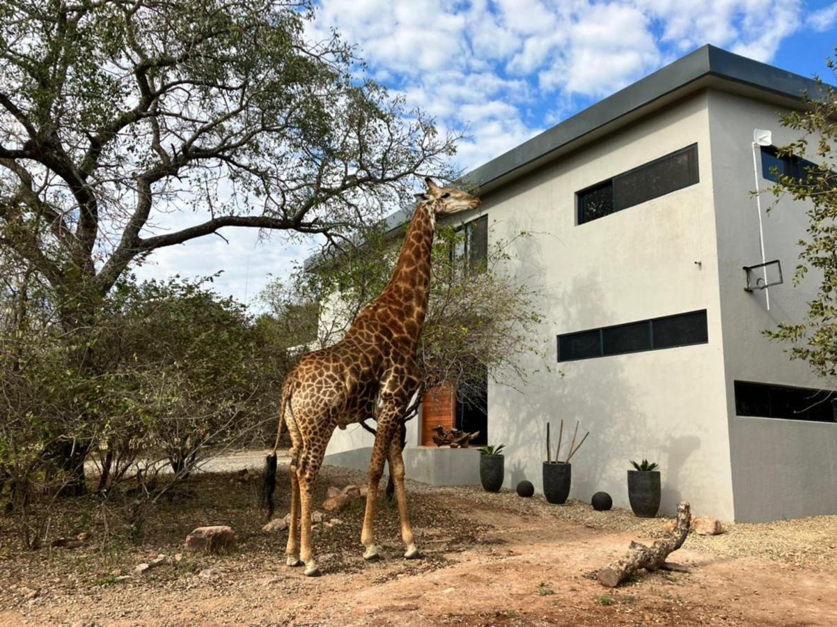 Birdsong Kruger Villa Marloth Park Dış mekan fotoğraf